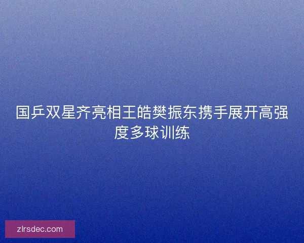 国乒双星齐亮相王皓樊振东携手展开高强度多球训练