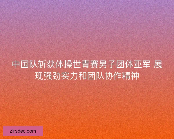 中国队斩获体操世青赛男子团体亚军 展现强劲实力和团队协作精神